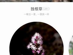 -圣莲山风景区