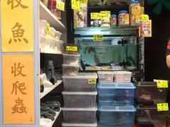-香港宠物街