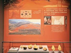 -广西壮族自治区博物馆