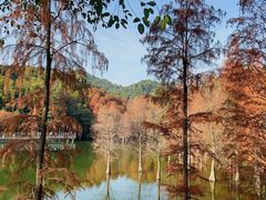 -广州市白云山风景名胜区
