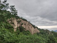 -大岭沟猕猴桃谷风景区