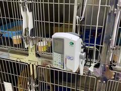 -中农国际动物医院24小时·猫科·骨科·急重症中心