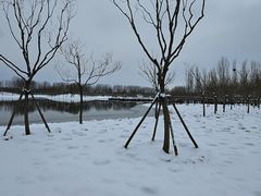 -东郊湿地公园
