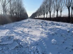-呼兰河口湿地公园