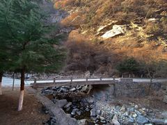 -少华山国家森林公园