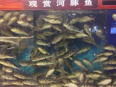 -肆月河豚·新淮扬(金融街店)