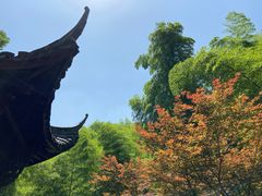-仙霞关景区