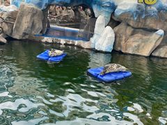 -华夏文旅海洋公园