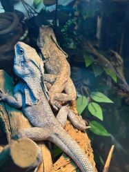 -Zoolung Zoolung动物主题公园(海信广场店)