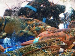 -富临港·蒸汽海鲜·手抓海鲜·炒菜(栈桥店)