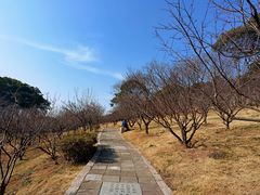 -无锡梅园公园