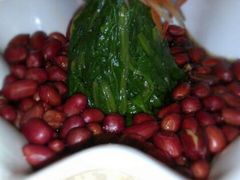 -鸭王烤鸭店(三里河店)
