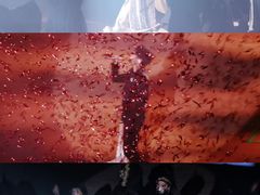 -杭州奥体中心-体育场