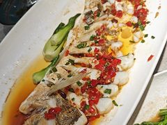-秦家味老菜馆(民族北路店)