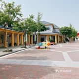 赛特奥莱