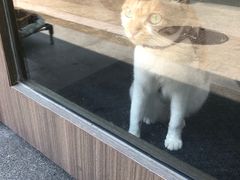 -Again Coffee Roaster(香蜜湖店)