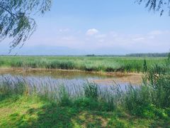 -野鸭湖国家湿地公园