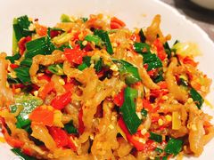 鸭掌筋-壹盏灯(惠农店)