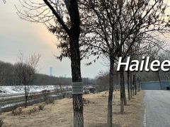 -坝河休闲公园