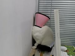 -莘程宠物医院(金山店)