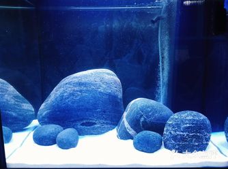 放个石头也是拿进拿出的一定要放到完美才舒服