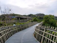 -福道