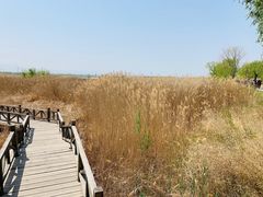 -野鸭湖国家湿地公园