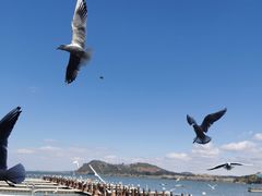 -呈贡滇池生态湿地公园