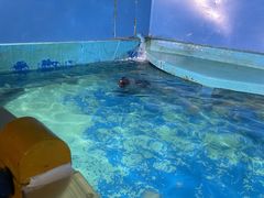 -太平洋海底世界