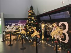 -墨尔本之星 观景摩天轮