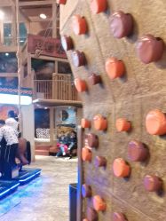 -卡通尼·Safari非洲探索乐园·生日会(金桥国际商业广场店)