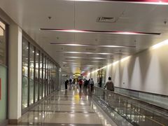 -河内内排国际机场