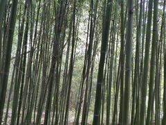 -竹泉村旅游度假区