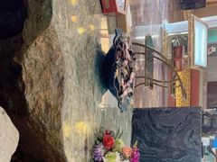 -富侨养生(康乾店)