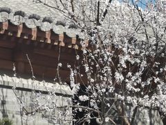 -三里河公园