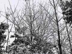 -南京航空航天大学(明故宫校区)