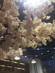 -简影造型·自选烫染接发salon
