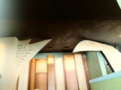 -小熊维尼历险之旅