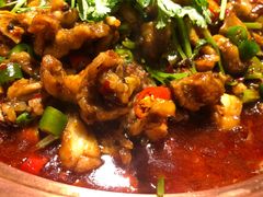 -沪小二炭火蛙锅(淮海中路美食不夜城店)