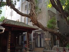 -小洲村