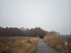 -溱湖国家湿地公园