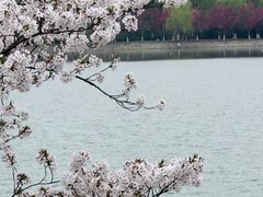 -羊山湖公园
