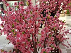 -美航国际健身(北京华联店)