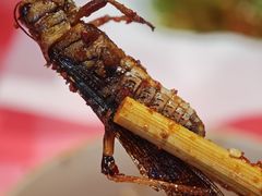 -为民烧烤吧.自贡爆炒菜(收录10年好店)