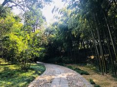-采石矶景区
