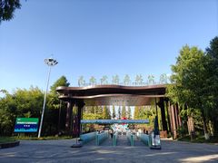 -黄海国家森林公园