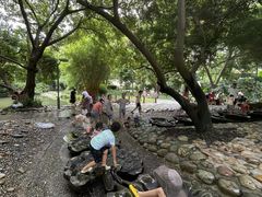 -成都市活水公园