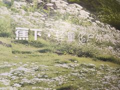 -万达广场(松江店)