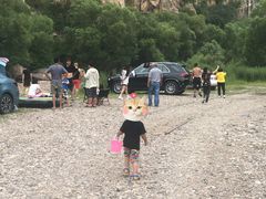 -白河湾生态旅游一条川