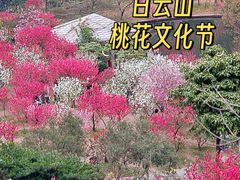 -桃花涧